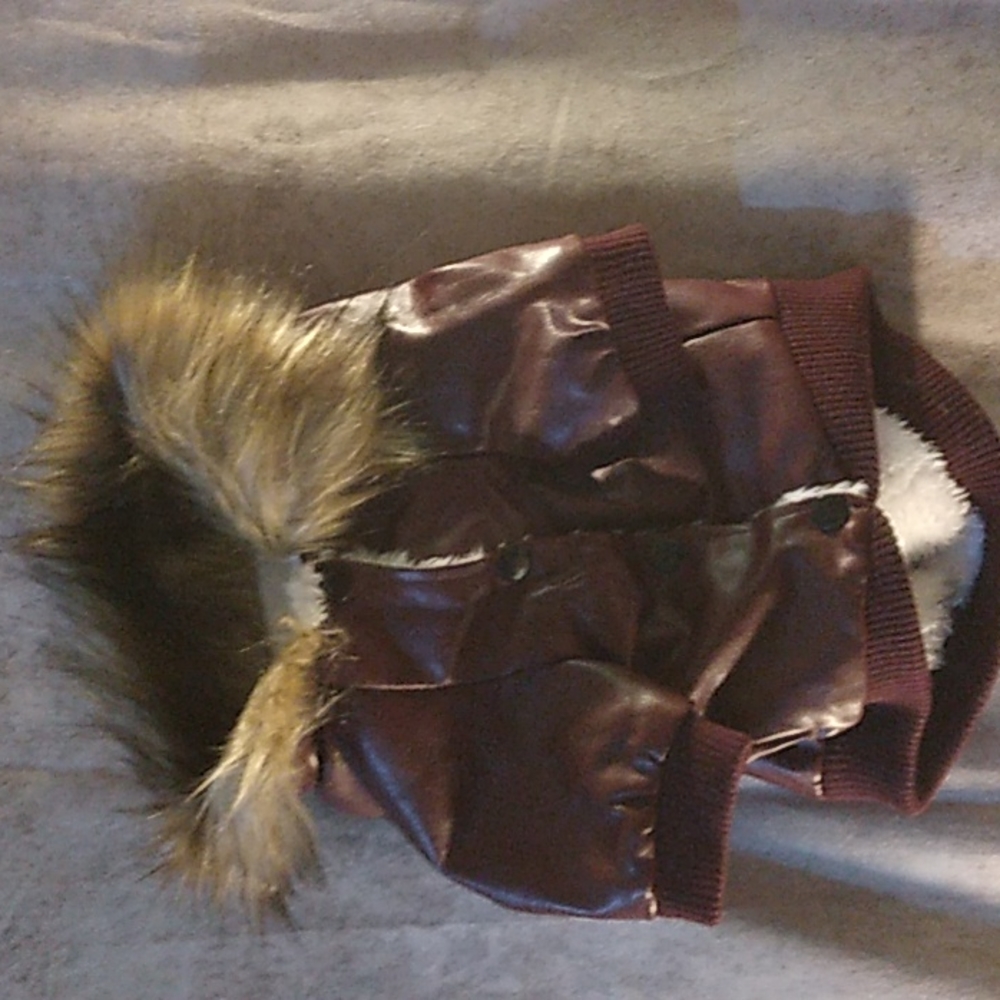 doggy stylish fur collar coat